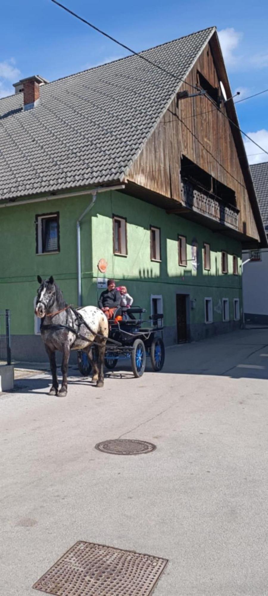 Sigma House Pansiyon Mojstrana Dış mekan fotoğraf