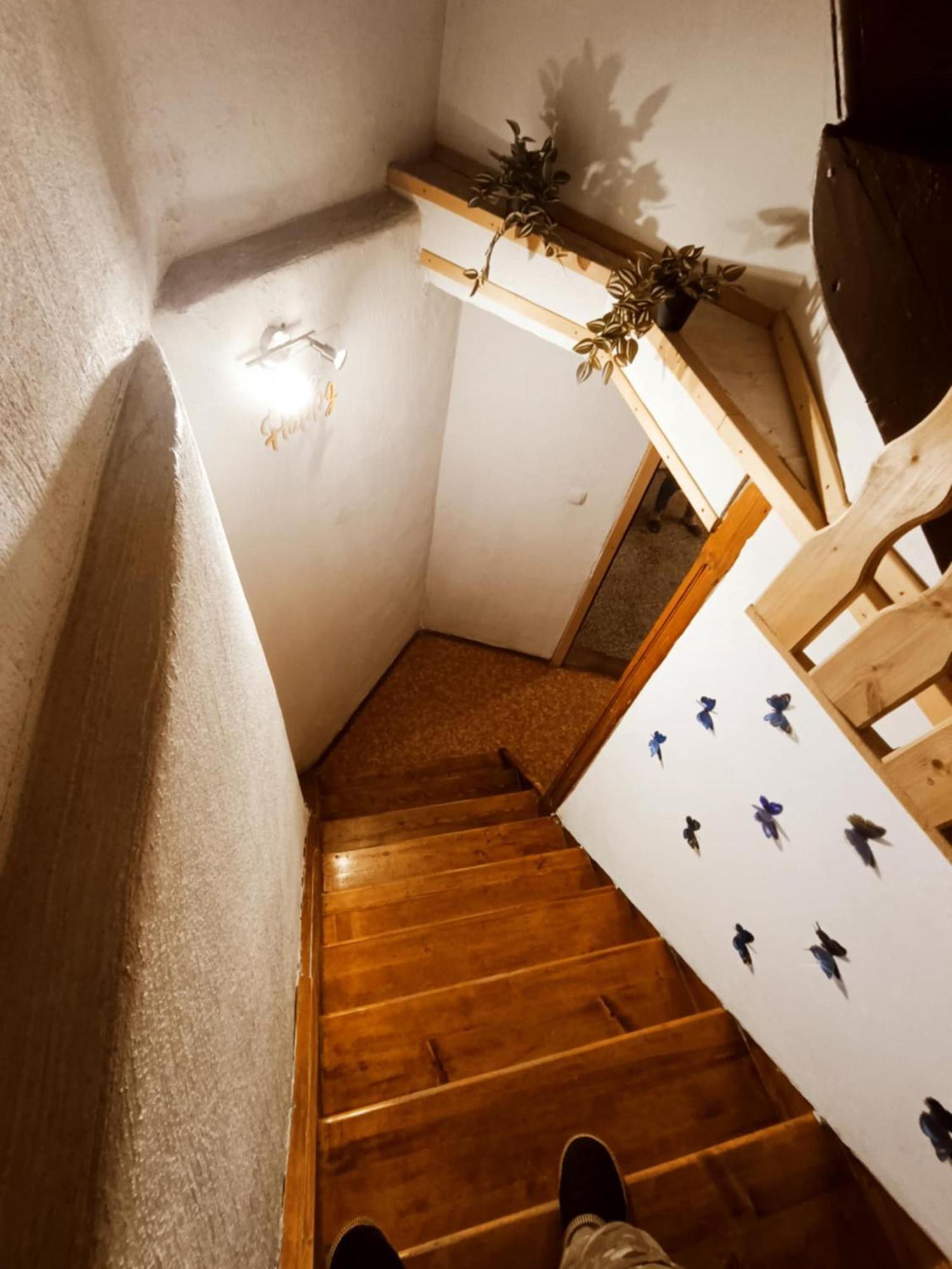 Sigma House Pansiyon Mojstrana Dış mekan fotoğraf